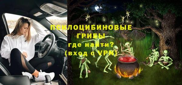 меф Арсеньев