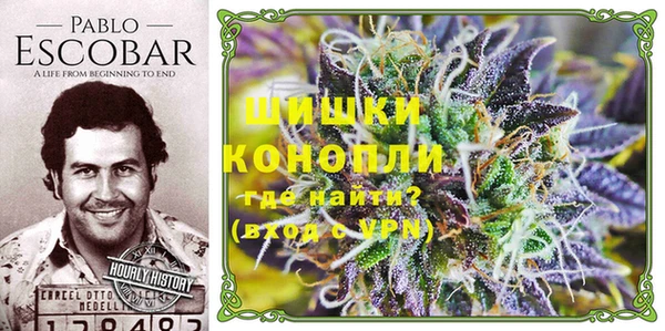 винт Армянск